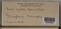 Image Associated With the Occurence